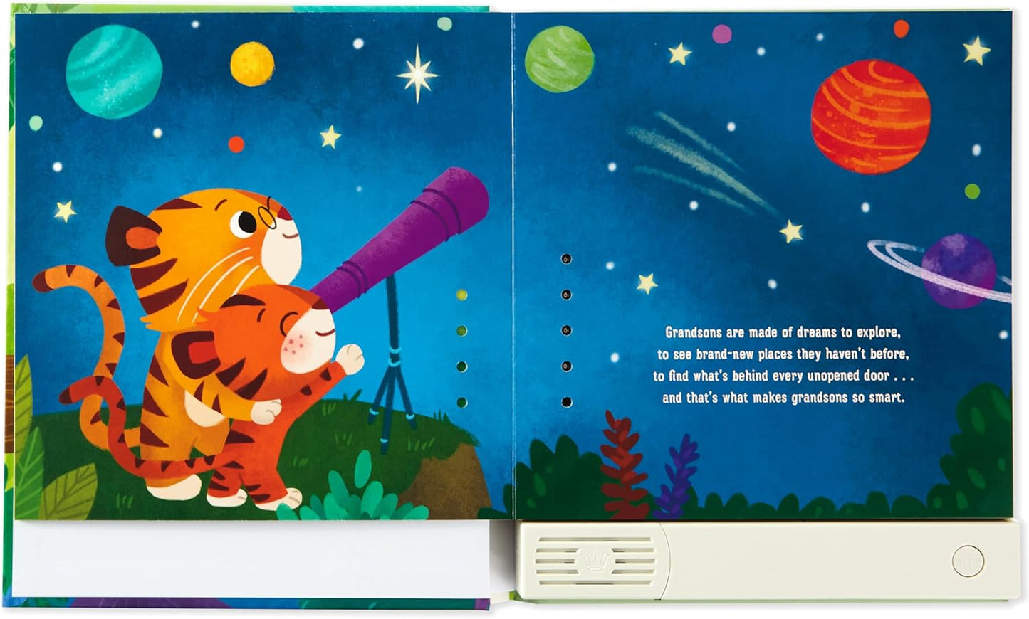 Hallmark Recordable Book for Children (What are Grandsons Made of?)