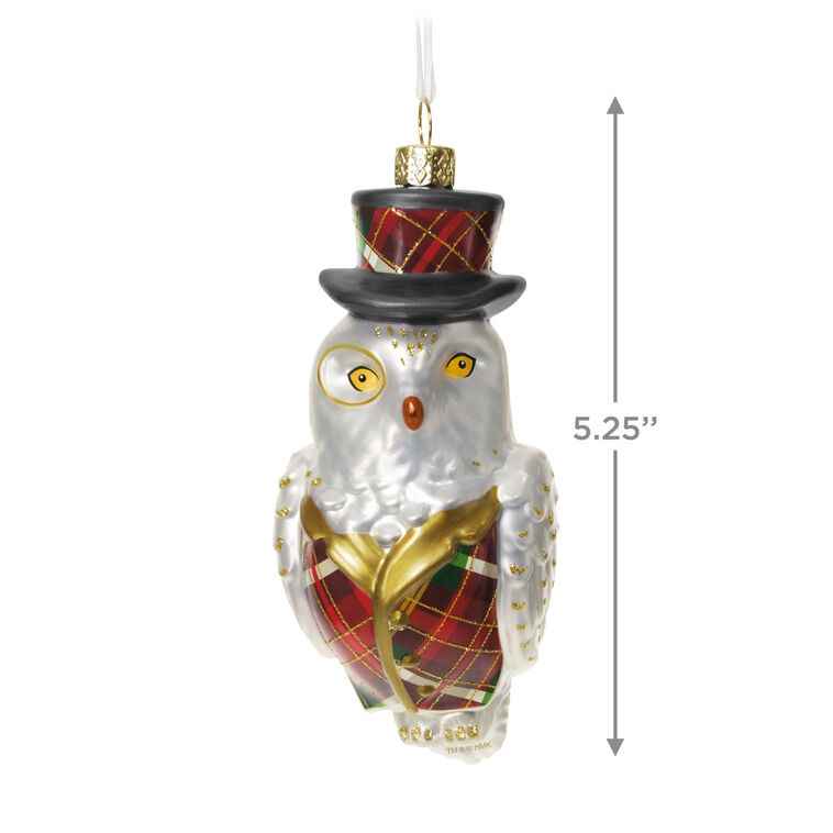 Hallmark 2025 Dapper Owl Glass Ornament Limited Edition