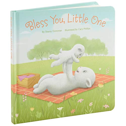 Bless You, Little Lamb Board Book Kids Books Juvenile Fiction