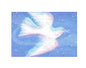 UNICEF Peace Dove Christmas Cards, Box of 16