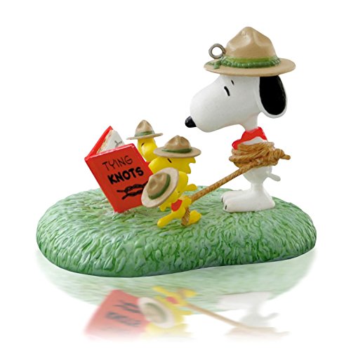 Learning The Ropes! - The Peanuts Gang - 2014 Hallmark Keepsake Ornament