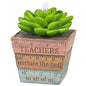 Hallmark Keepsake Christmas Ornament 2021, Thank You, Teacher! Succulent Planter