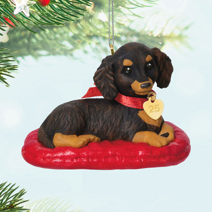 Hallmark Keepsake Christmas Ornament 2025, Puppy Love Long-Haired Dachshund 2025, Gifts for Animal Lovers