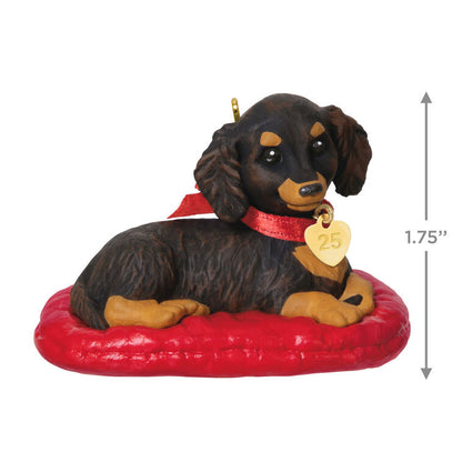 Hallmark Keepsake Christmas Ornament 2025, Puppy Love Long-Haired Dachshund 2025, Gifts for Animal Lovers