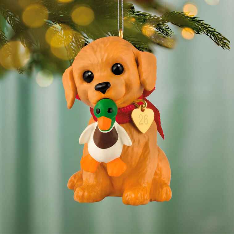 Hallmark 2026 Christmas Ornament Puppy Love Golden Retriever