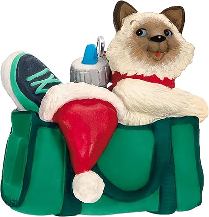 Hallmark Keepsake Christmas Ornament 2023, Mischievous Kittens, Cat Ornament, Pet Gifts