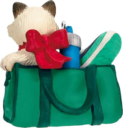 Hallmark Keepsake Christmas Ornament 2023, Mischievous Kittens, Cat Ornament, Pet Gifts
