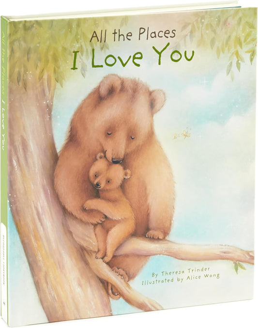 Hallmark Recordable Book with Music for Children (All The Places I Love You)