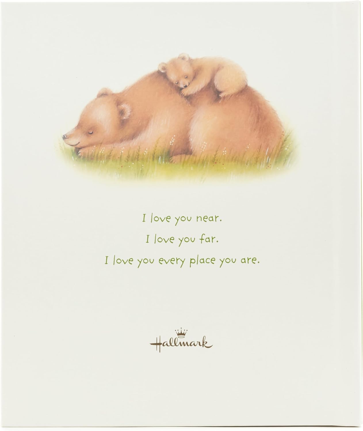 Hallmark Recordable Book with Music for Children (All The Places I Love You)