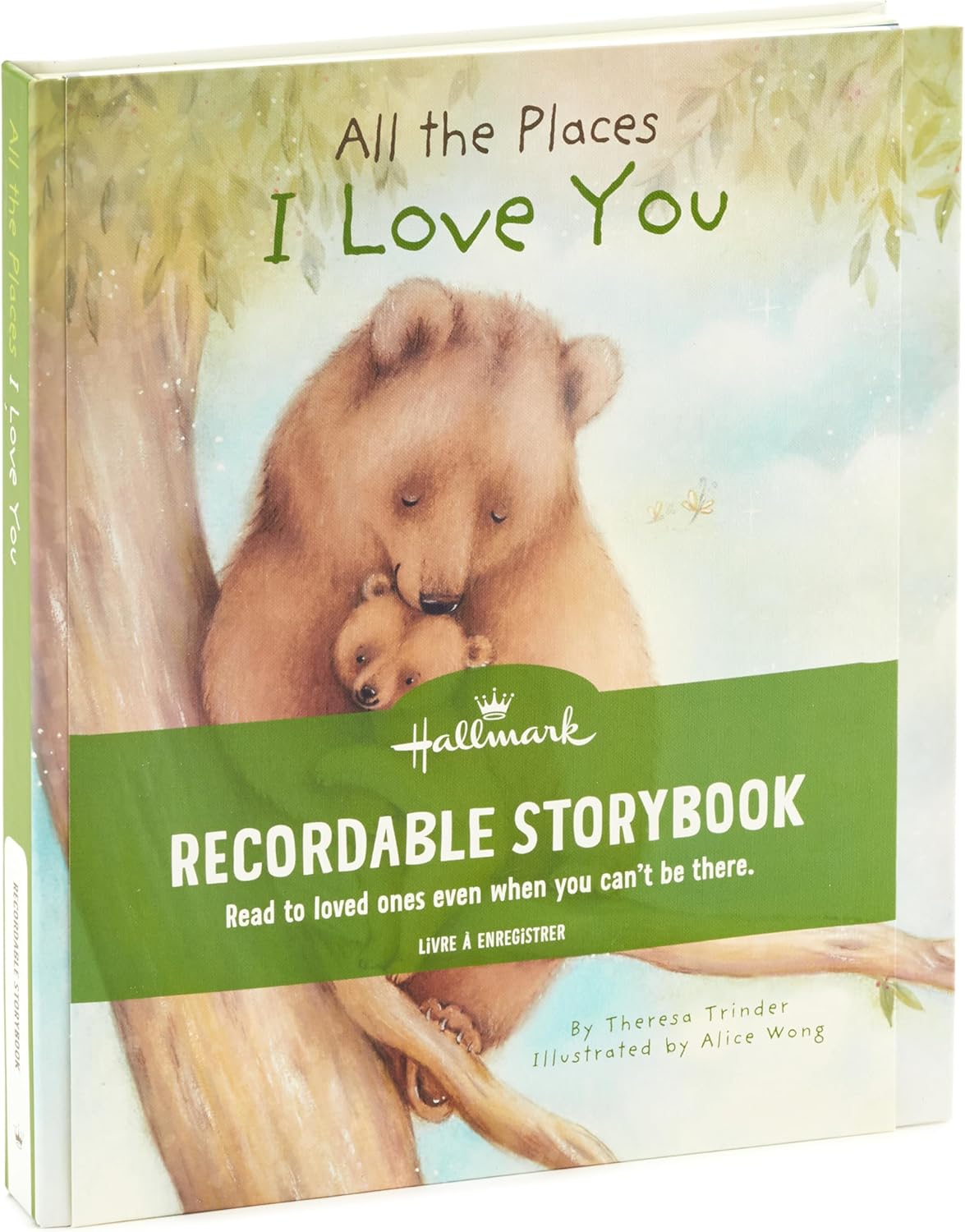 Hallmark Recordable Book with Music for Children (All The Places I Love You)