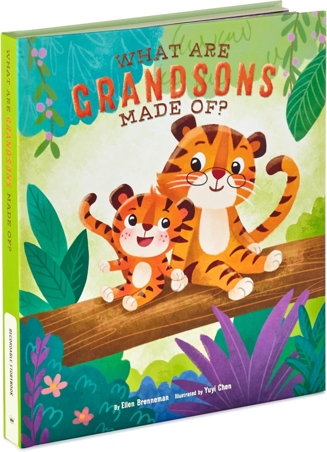 Hallmark Recordable Book for Children (What are Grandsons Made of?)