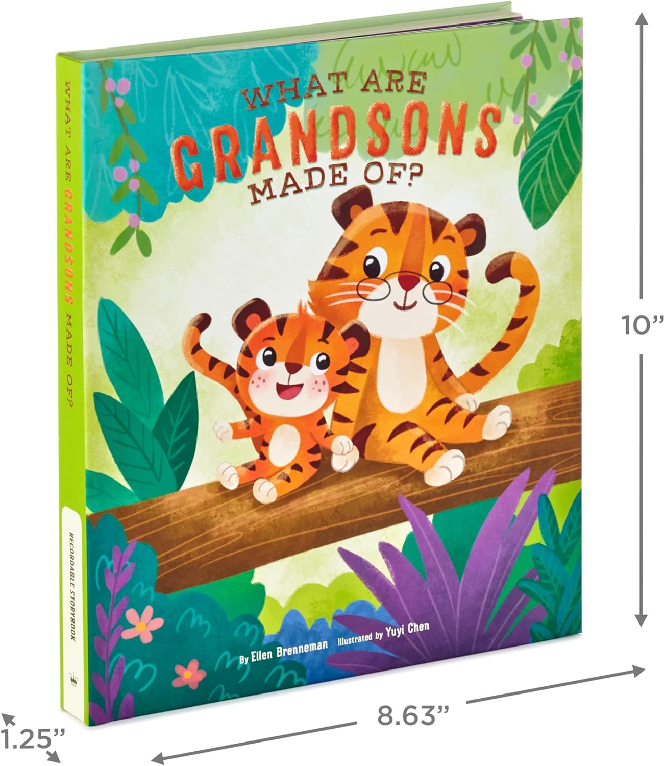 Hallmark Recordable Book for Children (What are Grandsons Made of?)