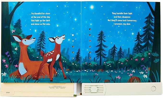 Hallmark I'm Thankful for You Recordable Storybook