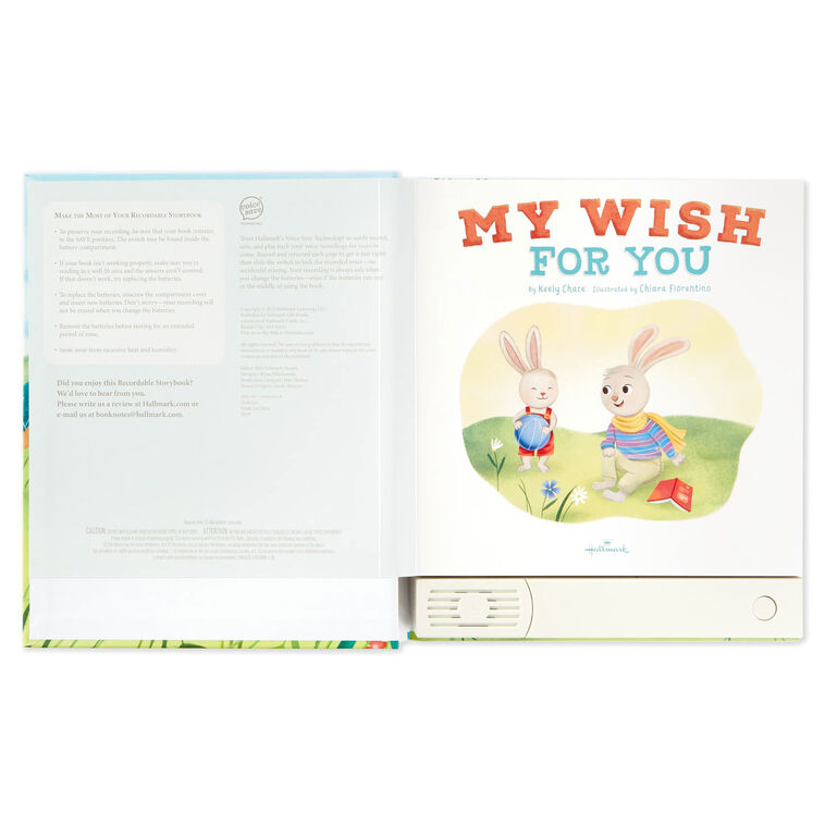 Hallmark My Wish for You Recordable Storybook