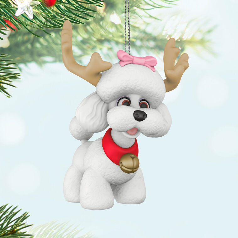Hallmark Keepsake Christmas 2025 Reindoggie Ornament