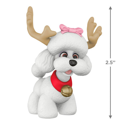 Hallmark Keepsake Christmas 2025 Reindoggie Ornament